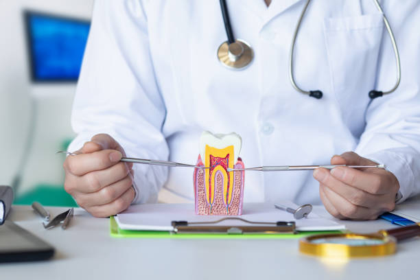 Best Pediatric Emergency Dentist in Almedia, PA